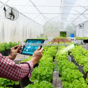 هیدرو سبز طراحی و ساخت صفر تا صد گلخانه اتوماتیک