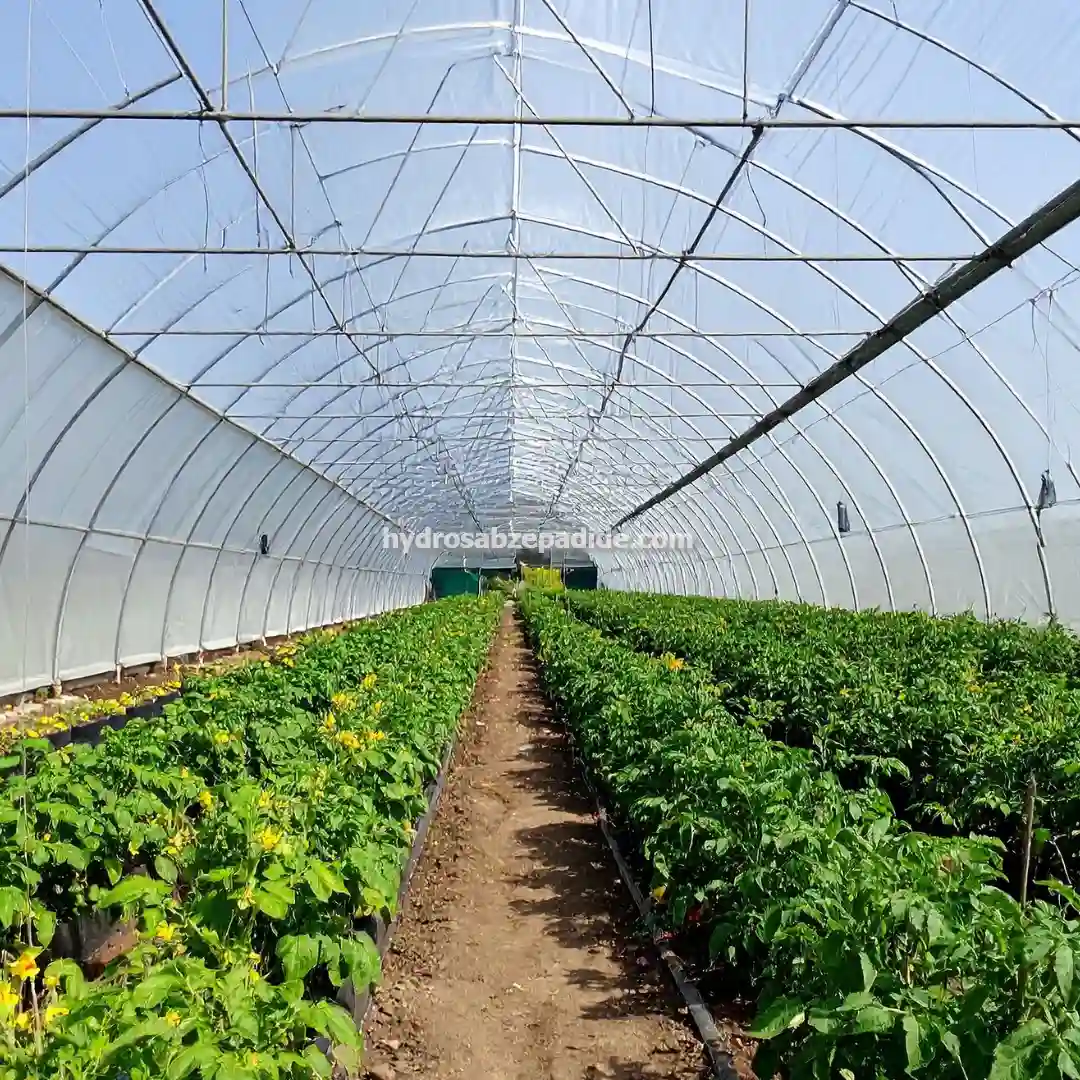 روش های احداث گلخانه