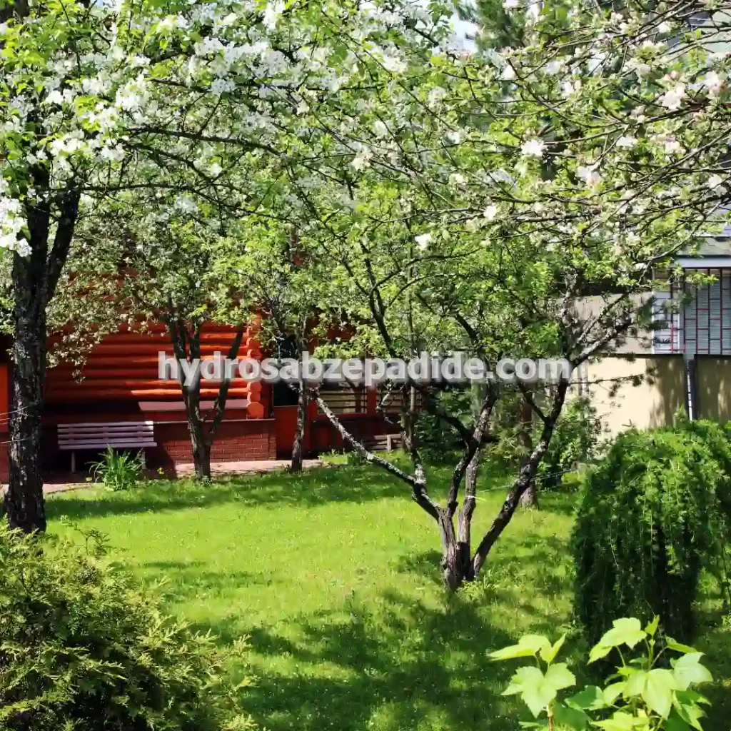 طراحی صفر تا صد گلخانه برای افزایش بازده محصول