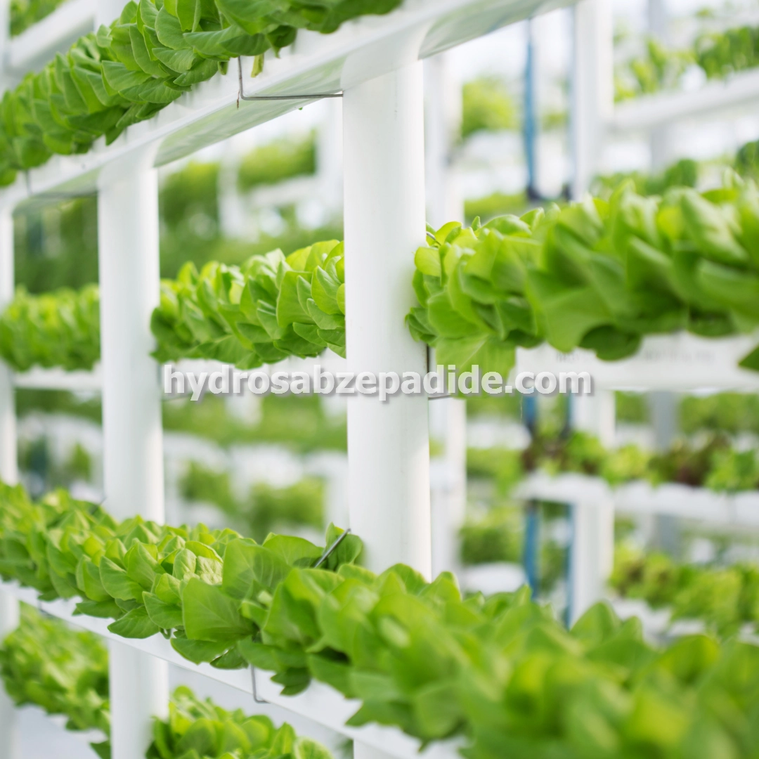 طراحی صفر تا صد گلخانه هیدروپونیک